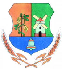 Freundeskreis Páhi - Simmern e.V.	